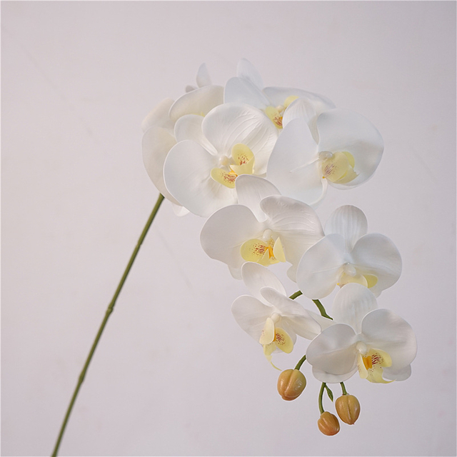 Artificial Phalaenopsis Orchid Stem Bundle (13 Color Options)