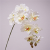 Artificial Phalaenopsis Orchid Stem Bundle (Multi-Color Options)