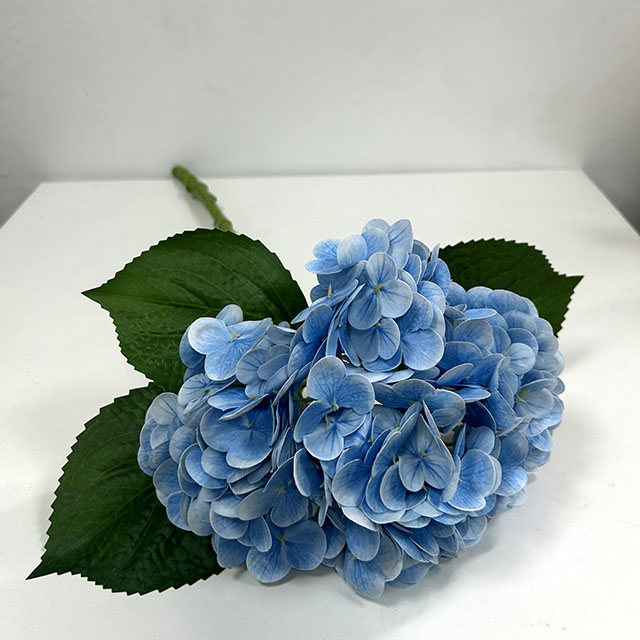 QH26327073 019.jpg