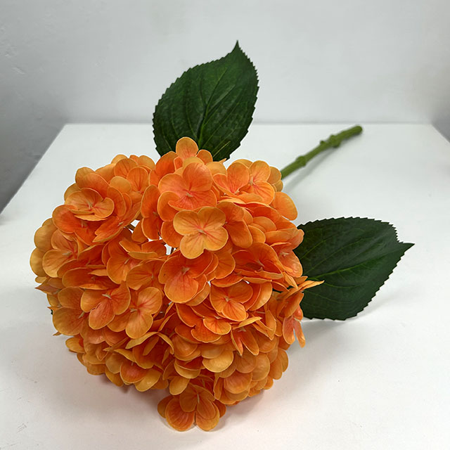 QH26327073 008.jpg