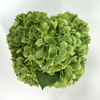 Artificial Flower Stem Green Hydrangea