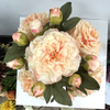 Artificial Flower Stem Pink Ombre Peony