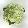 Artificial Flower Stem Light Green Hydrangea