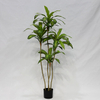  Artificial Ficus Tree (Cordyline Fruticosa / Brazilian Iron Tree)