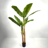 Artificial Banana Tree