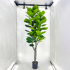 Artificial Fiddle Leaf Fig Tree (Faux Ficus Lyrata Tree with Iconic Fiddle-Shaped Leaves)