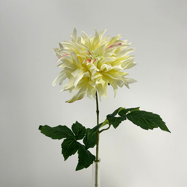 Single Head Artificial Dahlia, Cream Yellow with Blush Pink Tips