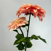 2-Head Single Stem Artificial Dahlia, Peach Blush Ombré