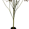 Artificial 71inch Lily Bamboo Floor Plant in Pot Potted Nordic Ins Style