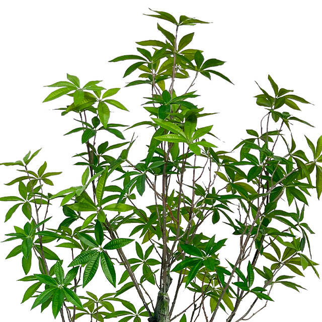 Artificial 59inch Money Tree with Pot, Tall Fake Tree Plant with Realistic Leaves, Lifelike Faux Tree for Indoor Outdoor Home Office Living Room Decor