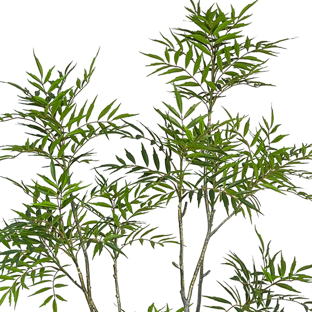 Artificial Mahonia fortunei Tree 71inch Tall Fake Trees for Indoor, Large Mahonia fortunei Plants with black Planter for Home Decor