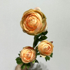 3-Head Single Stem Artificial Ranunculus, Peach Cream Ombré