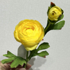 Artificial Bright Yellow Ranunculus, Single Bloom with Bud & Green Foliage