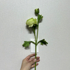 Artificial Full Green Ranunculus, Single Bloom with Bud & Green Foliage