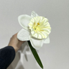 Single Stem Artificial Daffodil, Cream White with Yellow Center