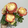 Artificial Two-Tone Pink & Cream Ranunculus, Multi-Bloom Bush with Green Foliage