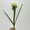 3-Head Single Stem Artificial Daffodil, Cream White with Bright Yellow Ruffled Center