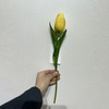 Artificial Yellow Tulip Stem, Long Stem with Foliage
