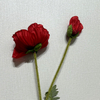 Artificial Red Poppy Stem, Double Bloom with Foliage