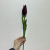 Artificial Deep Purple/Burgundy Tulip Stem