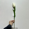 Artificial Cream White Tulip Stem, Long Stem with Foliage
