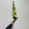 Artificial Light Green Delphinium Stem