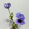 Artificial Lavender Anemone Stem