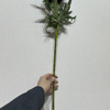 Artificial Deep Purple Delphinium Stem