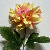 Artificial Pink-Yellow Gradient Dahlia Stem