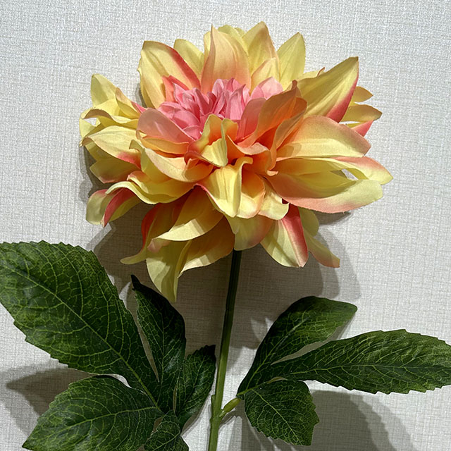 Artificial Pink-Yellow Gradient Dahlia Stem