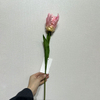 Artificial Frilly Blush Pink Parrot Tulip Stem