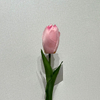 Artificial Two-Tone Pink & Peach Tulip Stem, Long Stem with Foliage