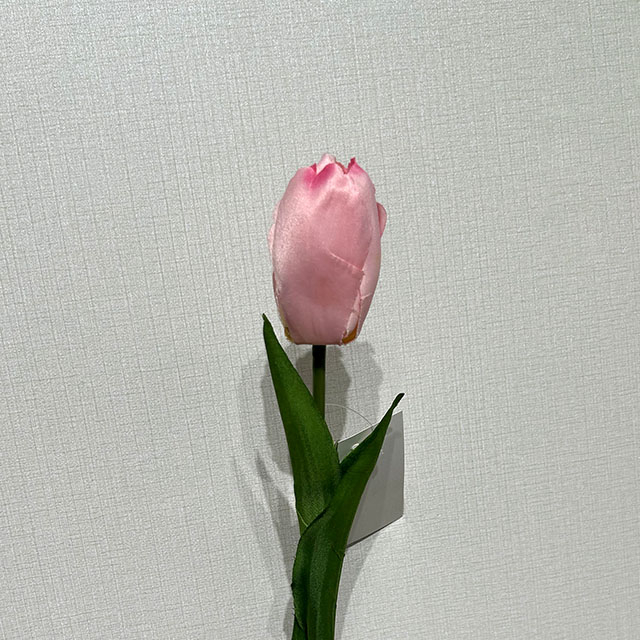 Artificial Two-Tone Pink & Peach Tulip Stem, Long Stem with Foliage
