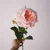 Artificial Austin Rose Stem Bundle (10 Color Options)