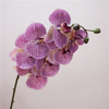 Artificial Phalaenopsis Orchid Stem Bundle (9 Color Options)