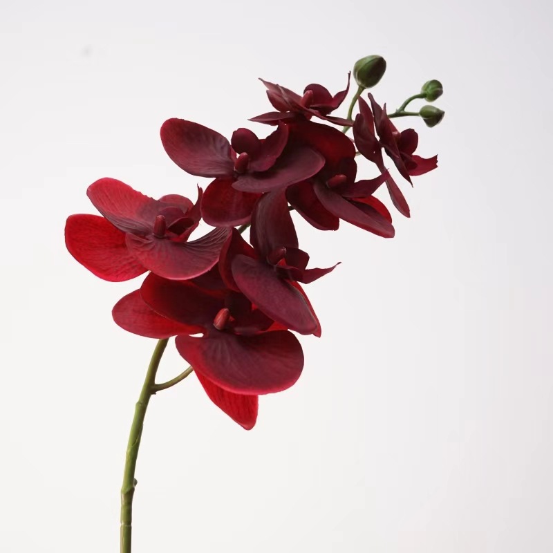 QH26S04016H.jpg