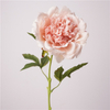 Artificial Peony Flower Stem Bundle (Updated 16 Color Options) Product Name