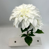 Artificial white Gradient Dahlia Flower