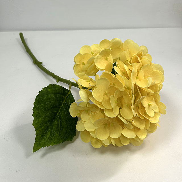 QH26327073 006.jpg
