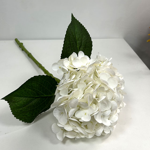 QH26327073 016.jpg