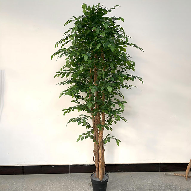 Artificial Ficus Tree (Faux Weeping Fig / Ficus Benjamina Tree with Lush Evergreen Foliage)