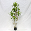  Artificial Ficus Tree (Cordyline Fruticosa / Brazilian Iron Tree)