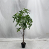 Artificial Fortune Tree