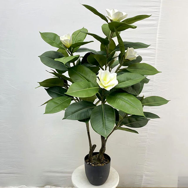QH27G3250 玉兰花树95cm.jpg
