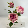3-Head Single Stem Artificial Garden Rose, Antique Pink with Pale Yellow Edge