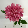 Single Head Artificial Dahlia, Deep Blush Pink Gradient
