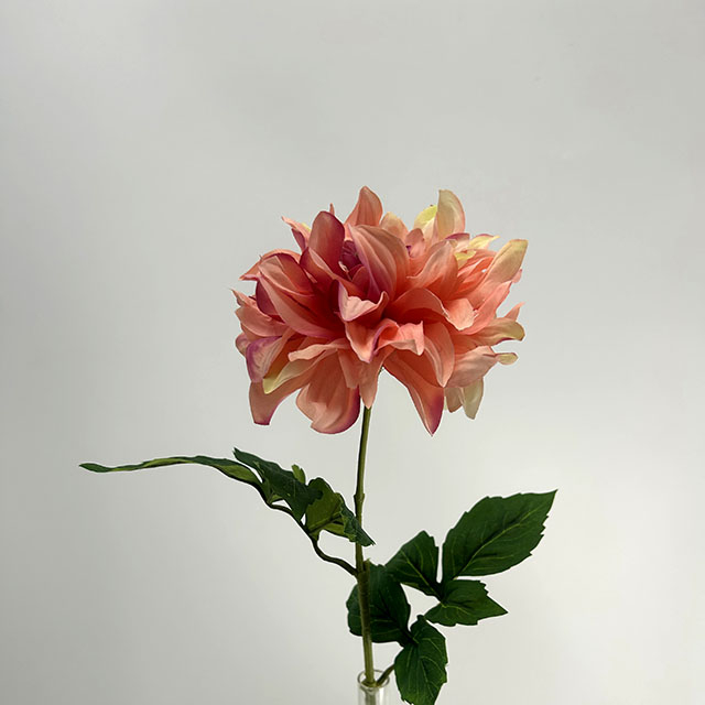 Single Head Artificial Dahlia, Peach Blush with Magenta Center