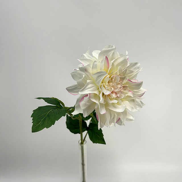 Single Head Artificial Dahlia, Creamy White with Blush Pink Edges