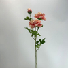 3-Head Single Stem Artificial Ranunculus, Peach & Pink Bicolor