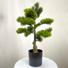 Artificial Bonsai Tree (Faux Pine / Cypress / Podocarpus Bonsai)